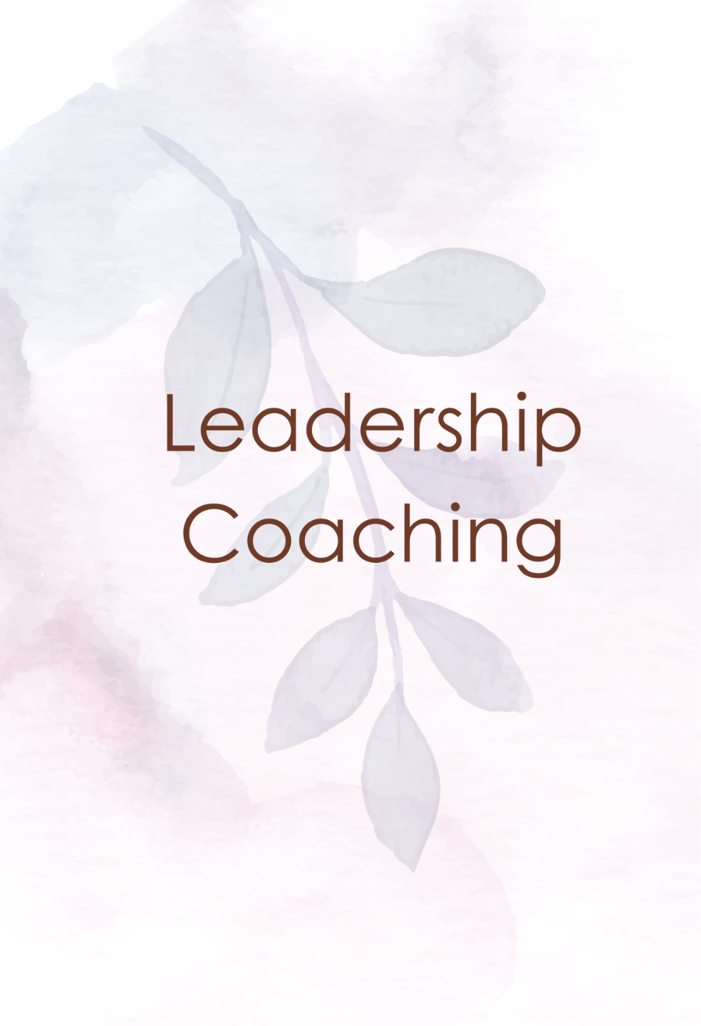Leadership Coaching